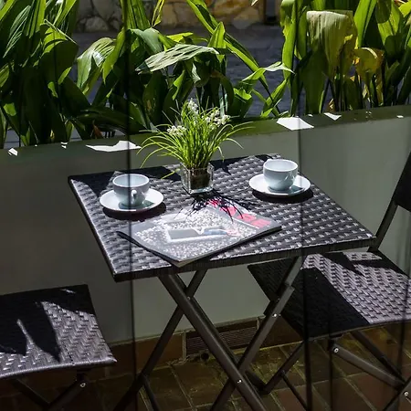 Evergreen Apartment Zadar