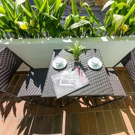 Evergreen * ザダル